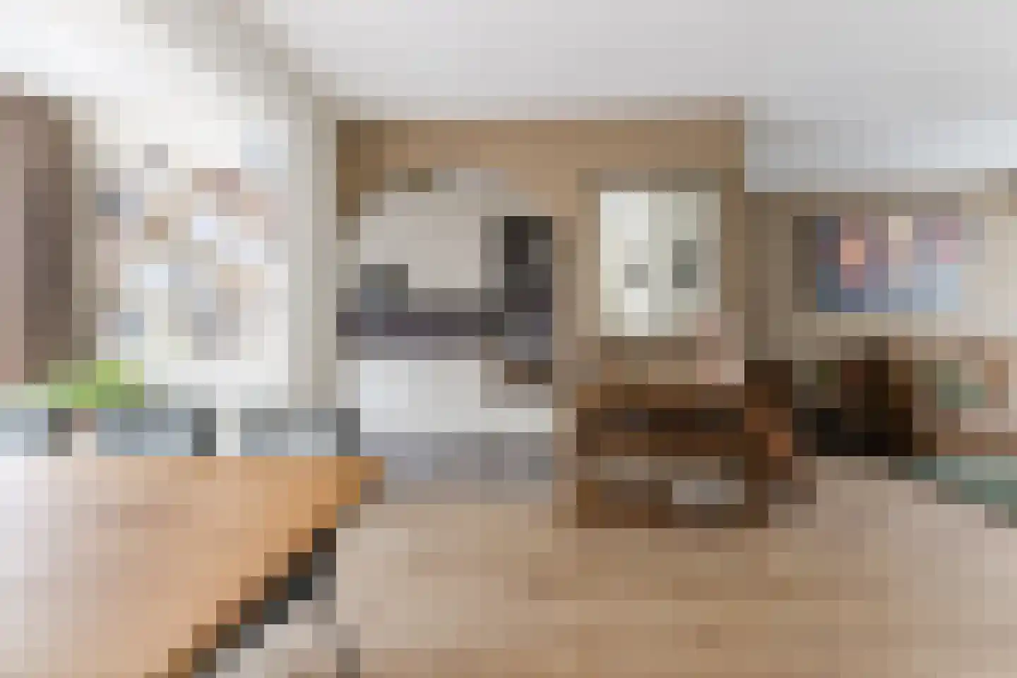 Armstrongstraat 4 Hilvarenbeek thumbnail 8