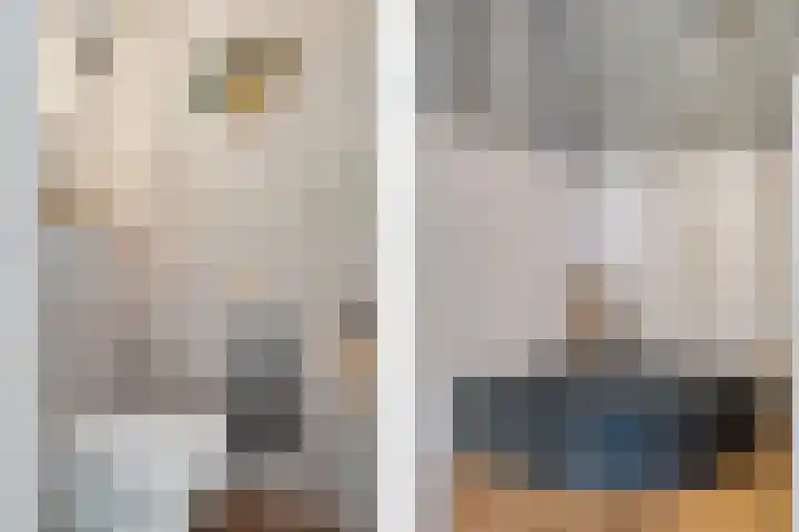 Armweide 31 in Ruinen