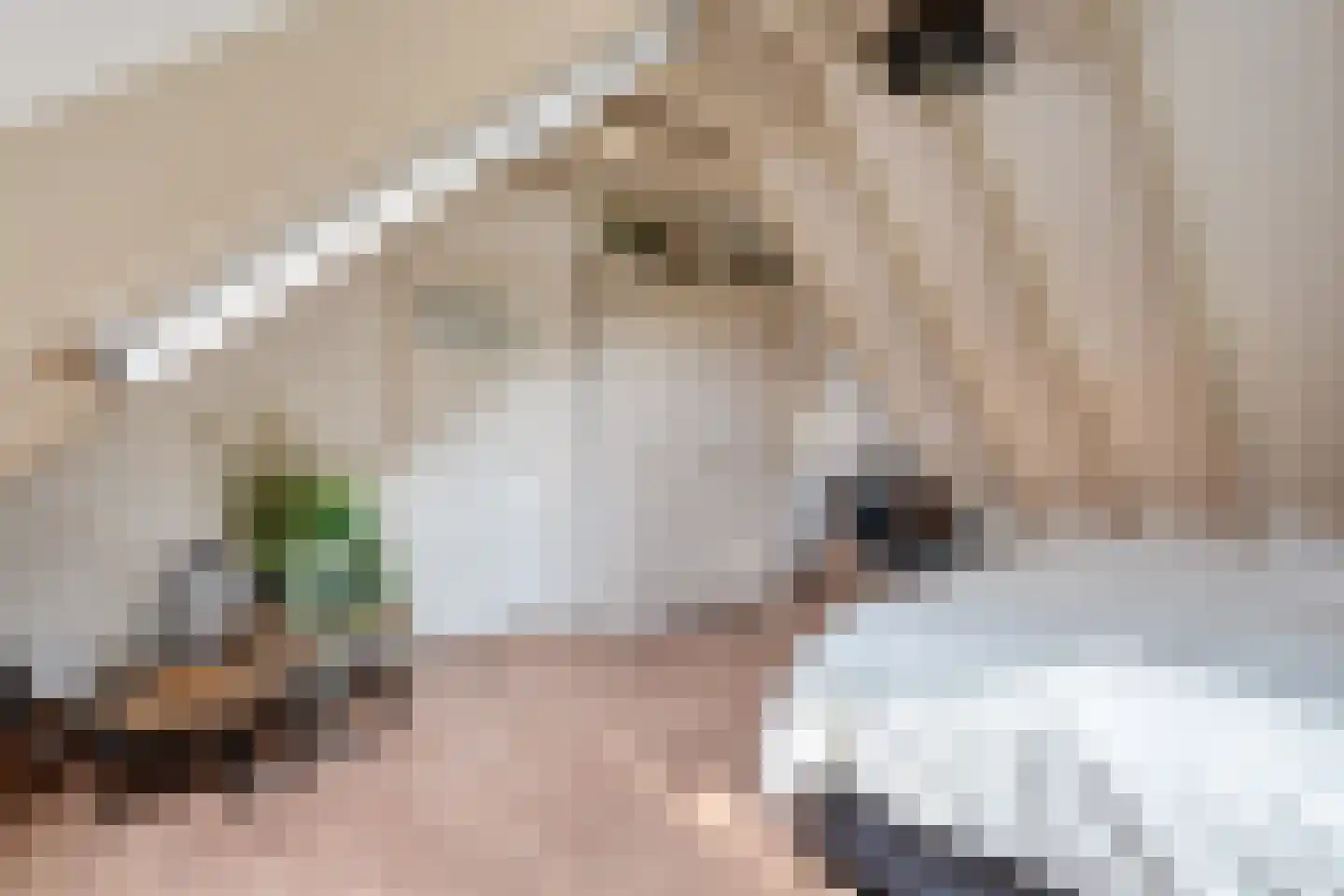 Armweide 5 Ruinen thumbnail 28
