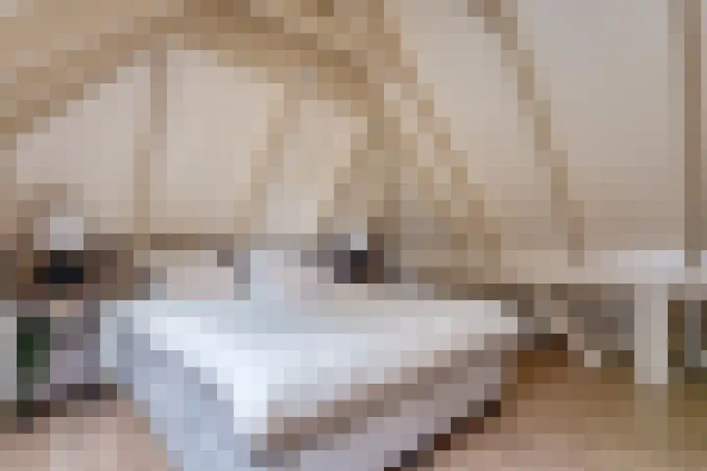 Armweide 5 Ruinen thumbnail 31