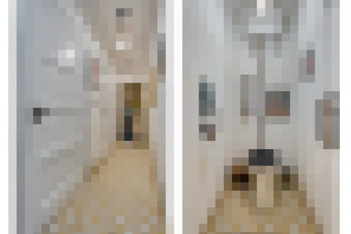 Armweide 5 Ruinen thumbnail 33