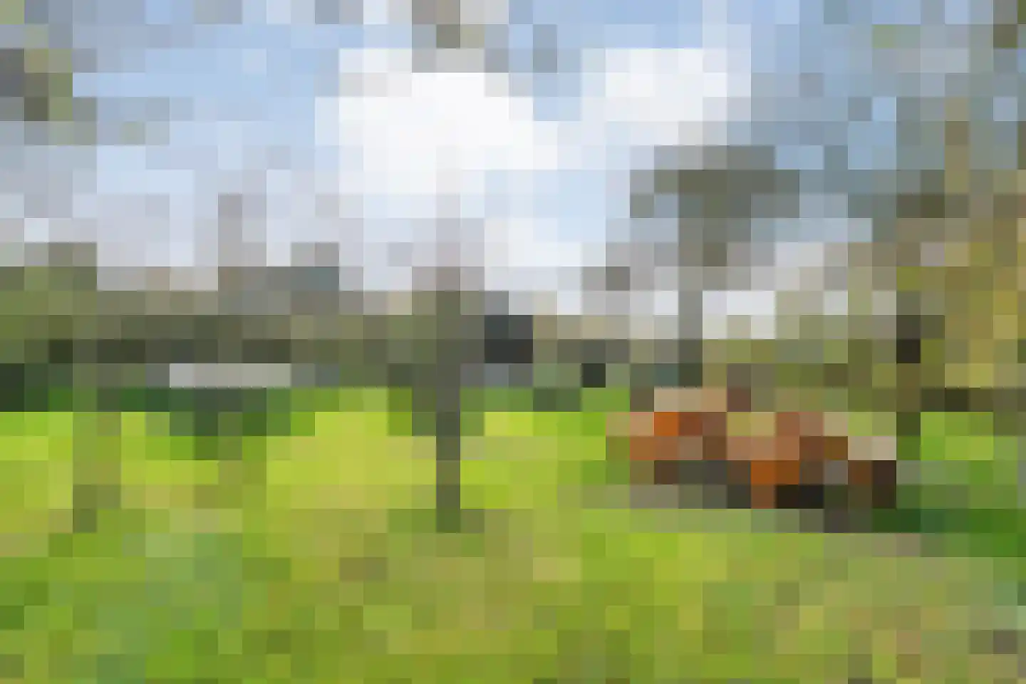Armweide 5 Ruinen thumbnail 44