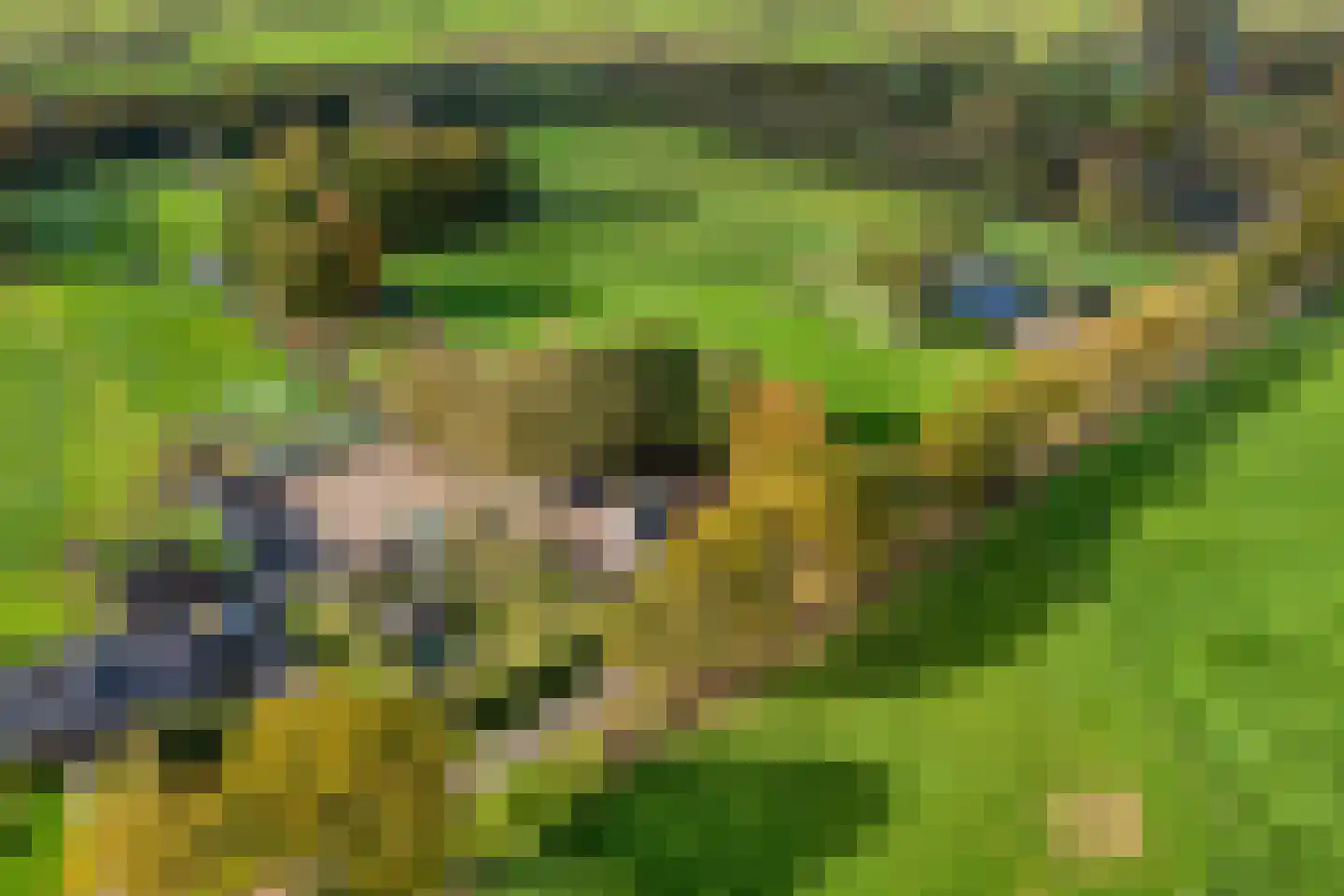 Armweide 5 Ruinen thumbnail 47