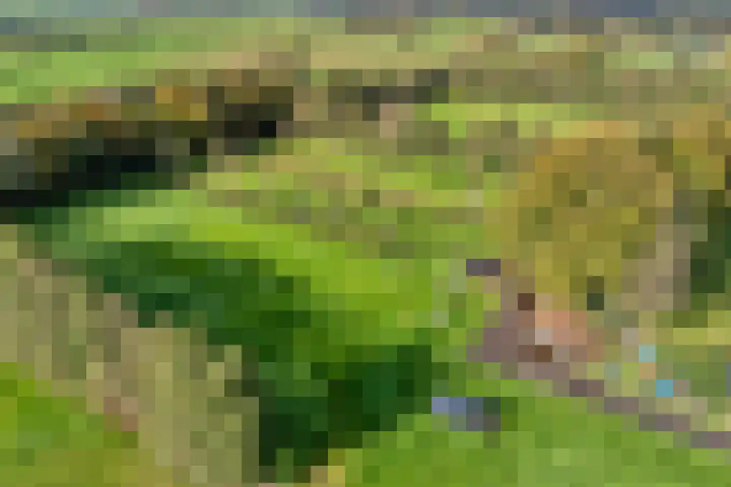 Armweide 5 Ruinen thumbnail 48