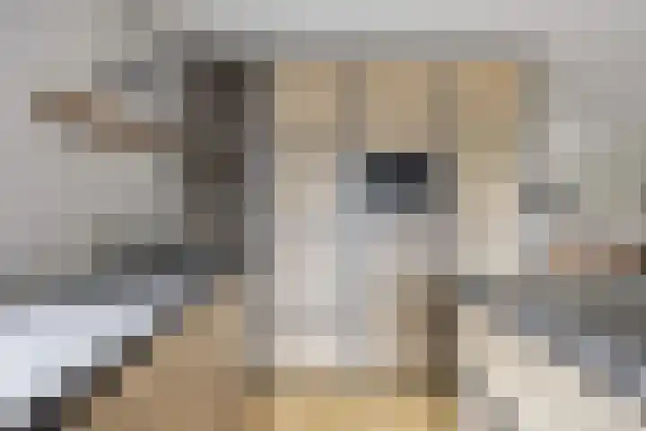 Arndt van Buerenstraat 2 a Kesteren thumbnail 12