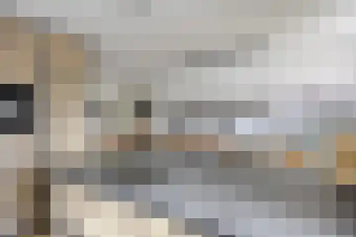 Arndt van Buerenstraat 2 a Kesteren thumbnail 13