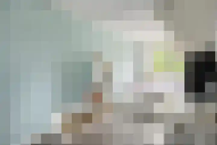 Arndt van Buerenstraat 2 a Kesteren thumbnail 18