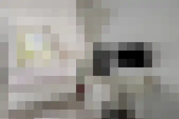 Arndt van Buerenstraat 2 a Kesteren thumbnail 19