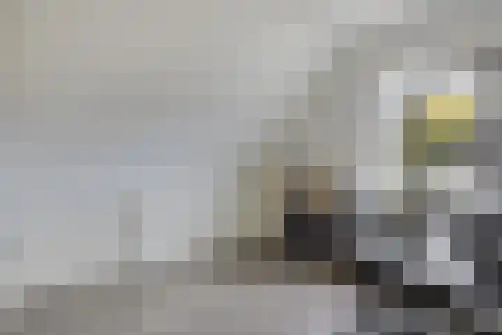 Arndt van Buerenstraat 2 a Kesteren thumbnail 21