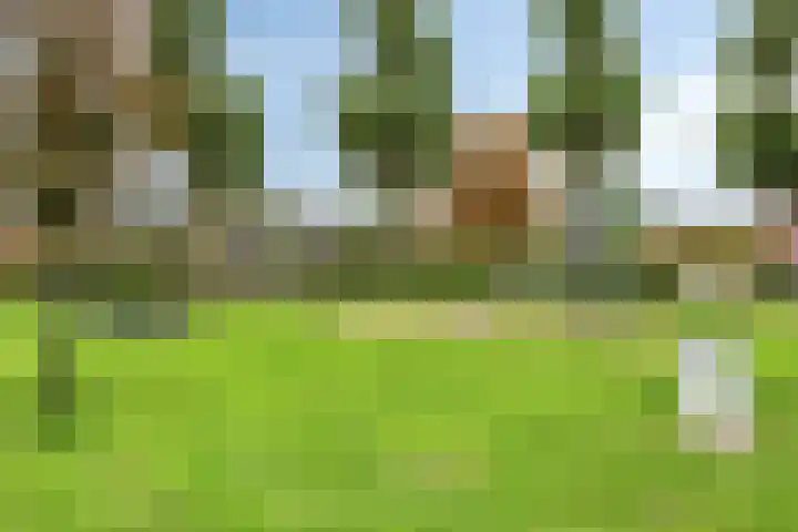 Arndt van Buerenstraat 2 a Kesteren thumbnail 34
