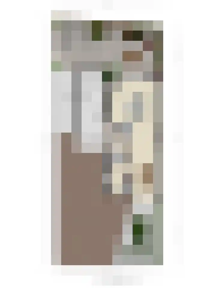 Arndt van Buerenstraat 2 a Kesteren thumbnail 36