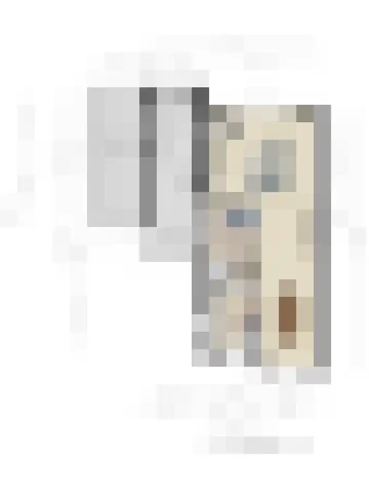 Arndt van Buerenstraat 2 a Kesteren thumbnail 38