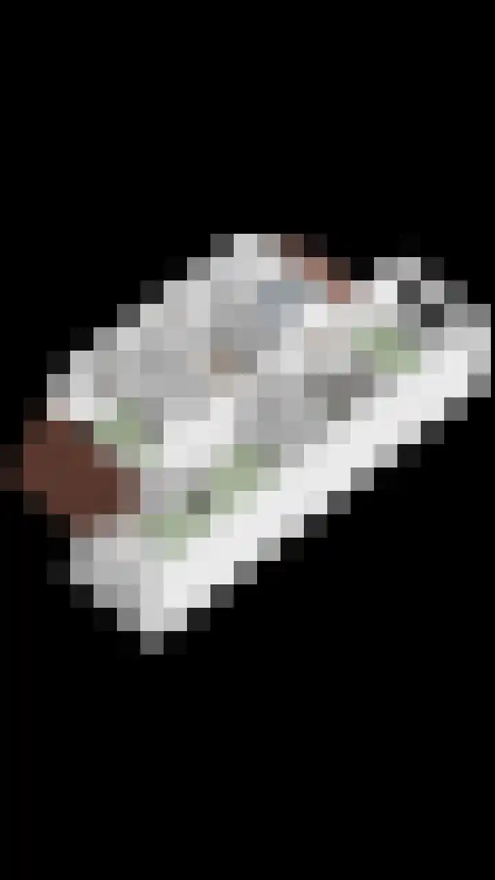 Arndt van Buerenstraat 2 a Kesteren thumbnail 39