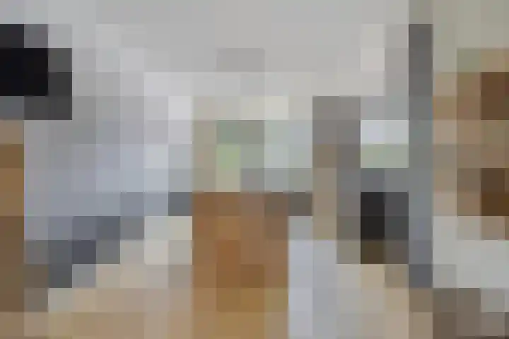 Arndt van Buerenstraat 2 a Kesteren thumbnail 4