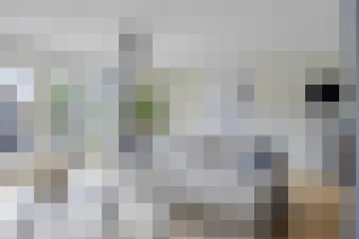 Arndt van Buerenstraat 2 a Kesteren thumbnail 7