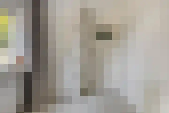 Arndt van Buerenstraat 20 Kesteren thumbnail 14