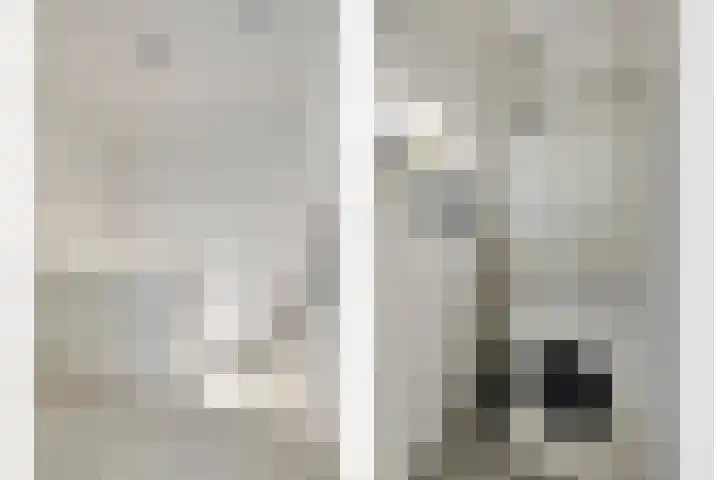 Arndt van Buerenstraat 20 Kesteren thumbnail 16