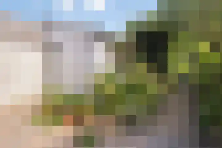 Arndt van Buerenstraat 20 Kesteren thumbnail 18