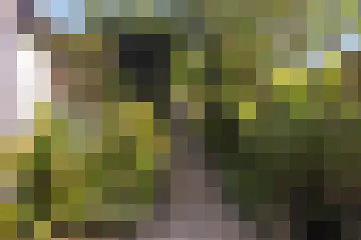 Arndt van Buerenstraat 20 Kesteren thumbnail 20