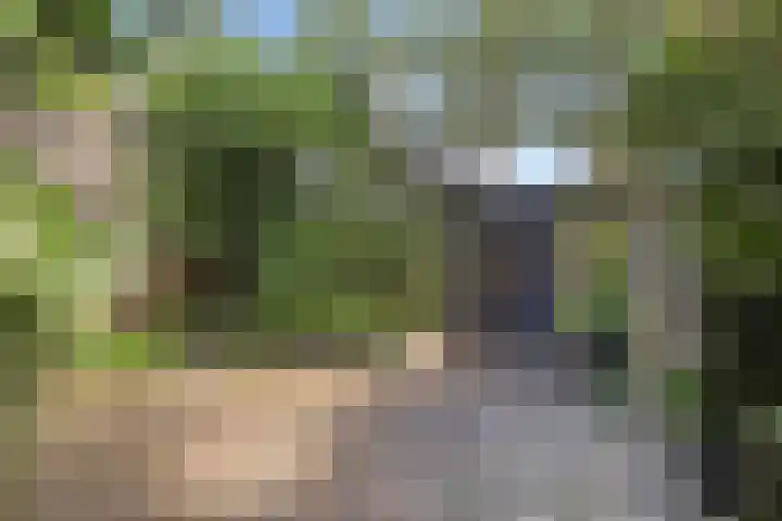 Arndt van Buerenstraat 20 Kesteren thumbnail 21