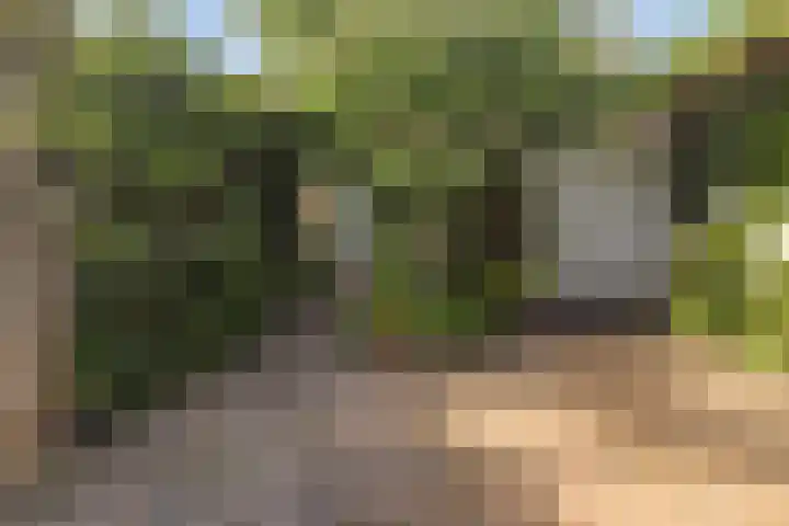 Arndt van Buerenstraat 20 Kesteren thumbnail 22