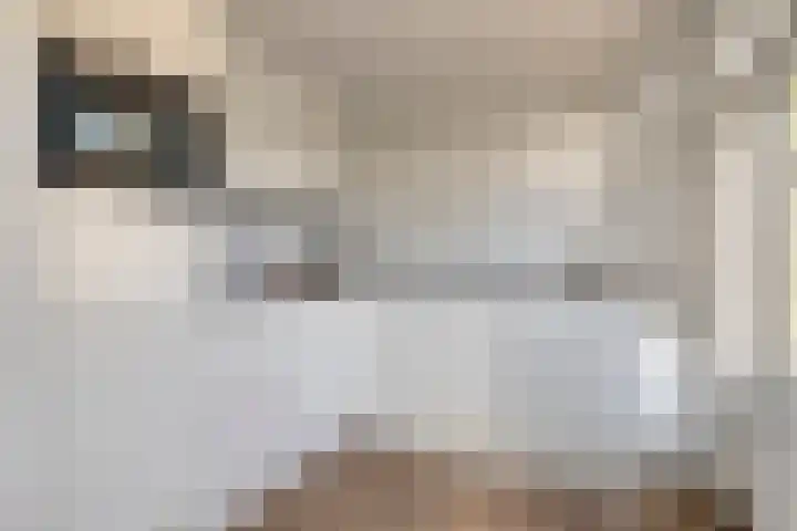 Arndt van Buerenstraat 20 Kesteren thumbnail 4