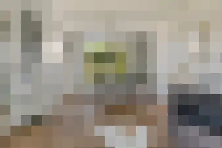 Arndt van Buerenstraat 20 Kesteren thumbnail 6