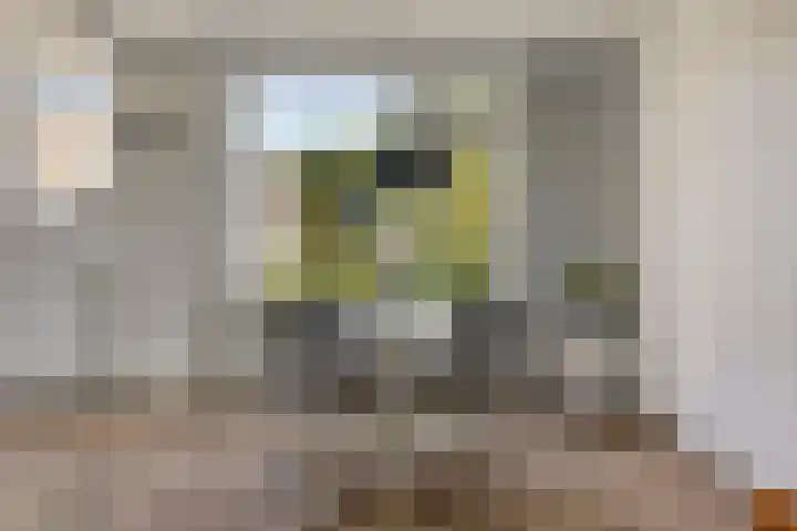 Arndt van Buerenstraat 20 Kesteren thumbnail 7