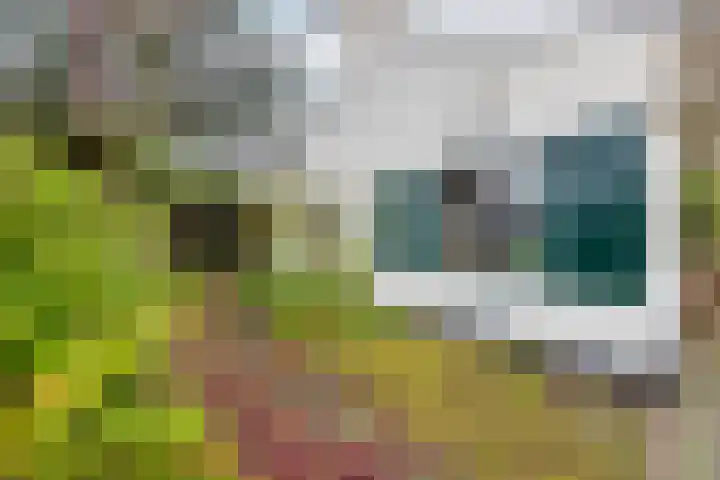 Arnelaan 2 Middelburg thumbnail 22
