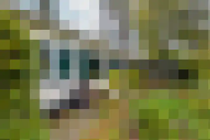 Arnelaan 2 Middelburg thumbnail 24