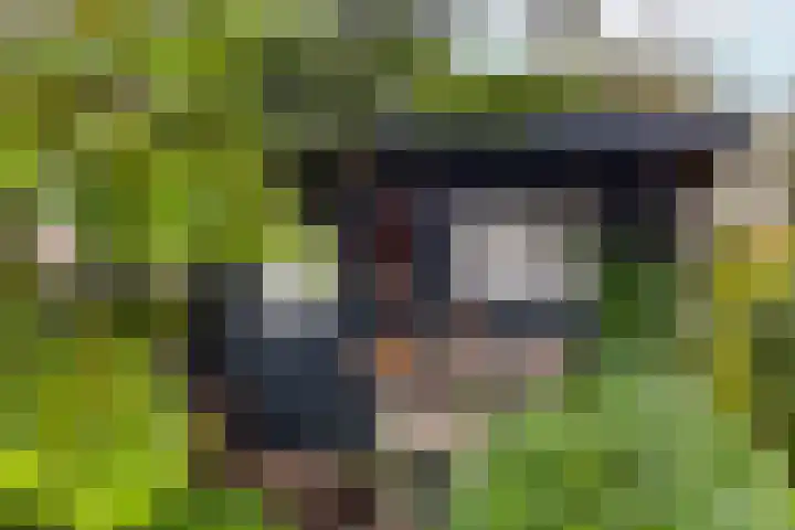 Arnelaan 2 Middelburg thumbnail 28