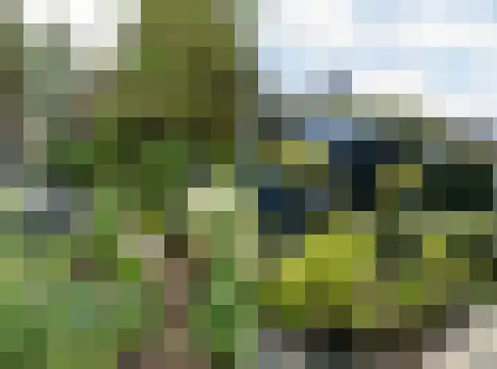 Arnelaan 2 Middelburg thumbnail 4