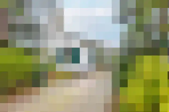 Arnelaan 2 Middelburg thumbnail 5
