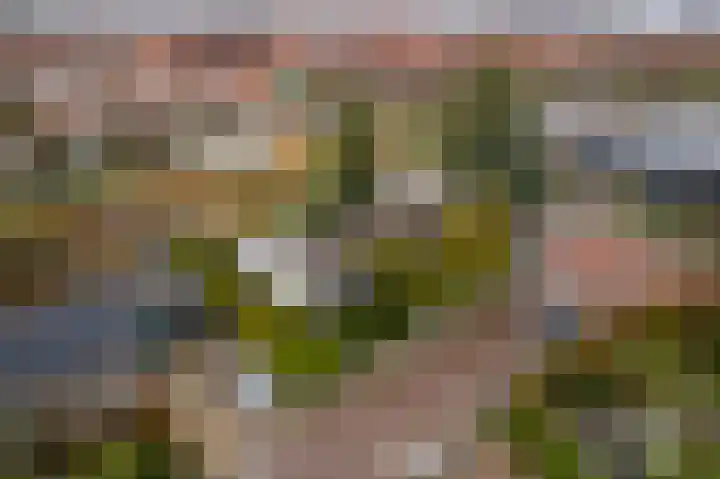 Arnelaan 2 Middelburg thumbnail 8