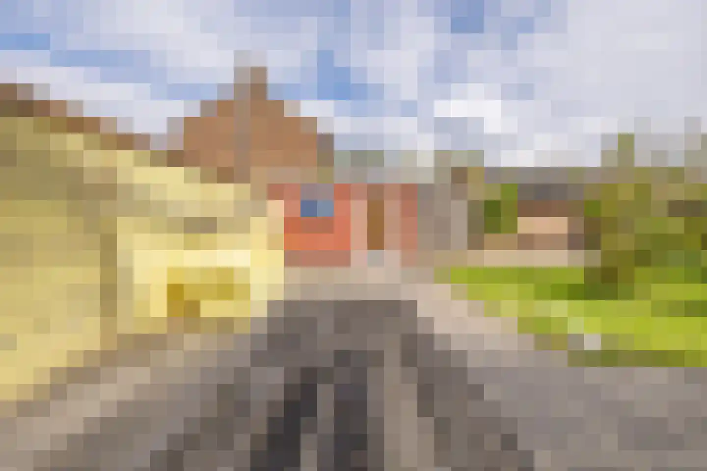Arnelaan 35 Middelburg thumbnail 21