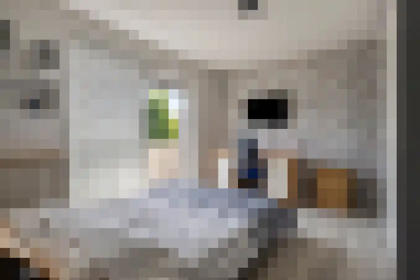 Arnelaan 45 Terneuzen thumbnail 19