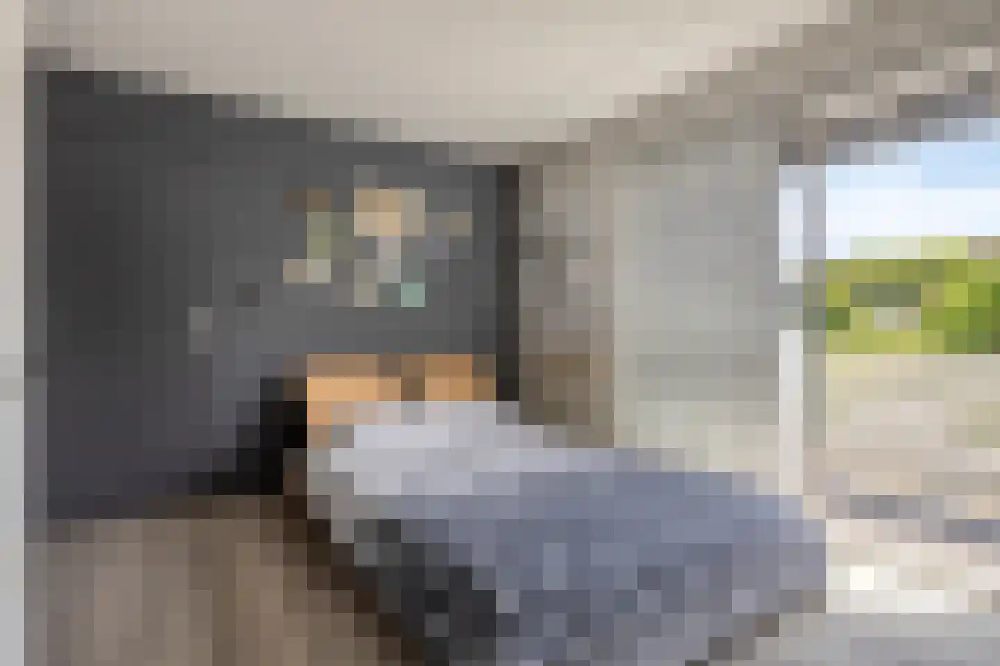 Arnelaan 45 Terneuzen thumbnail 20
