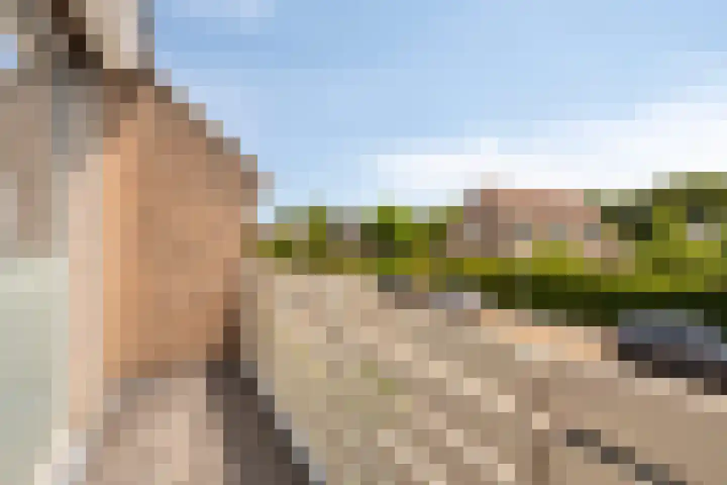 Arnelaan 45 Terneuzen thumbnail 22