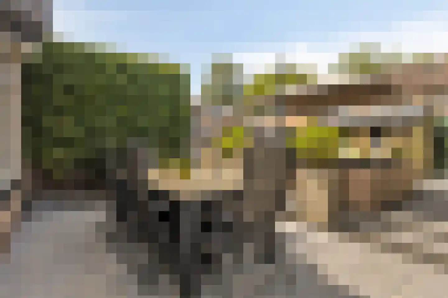 Arnelaan 45 Terneuzen thumbnail 28