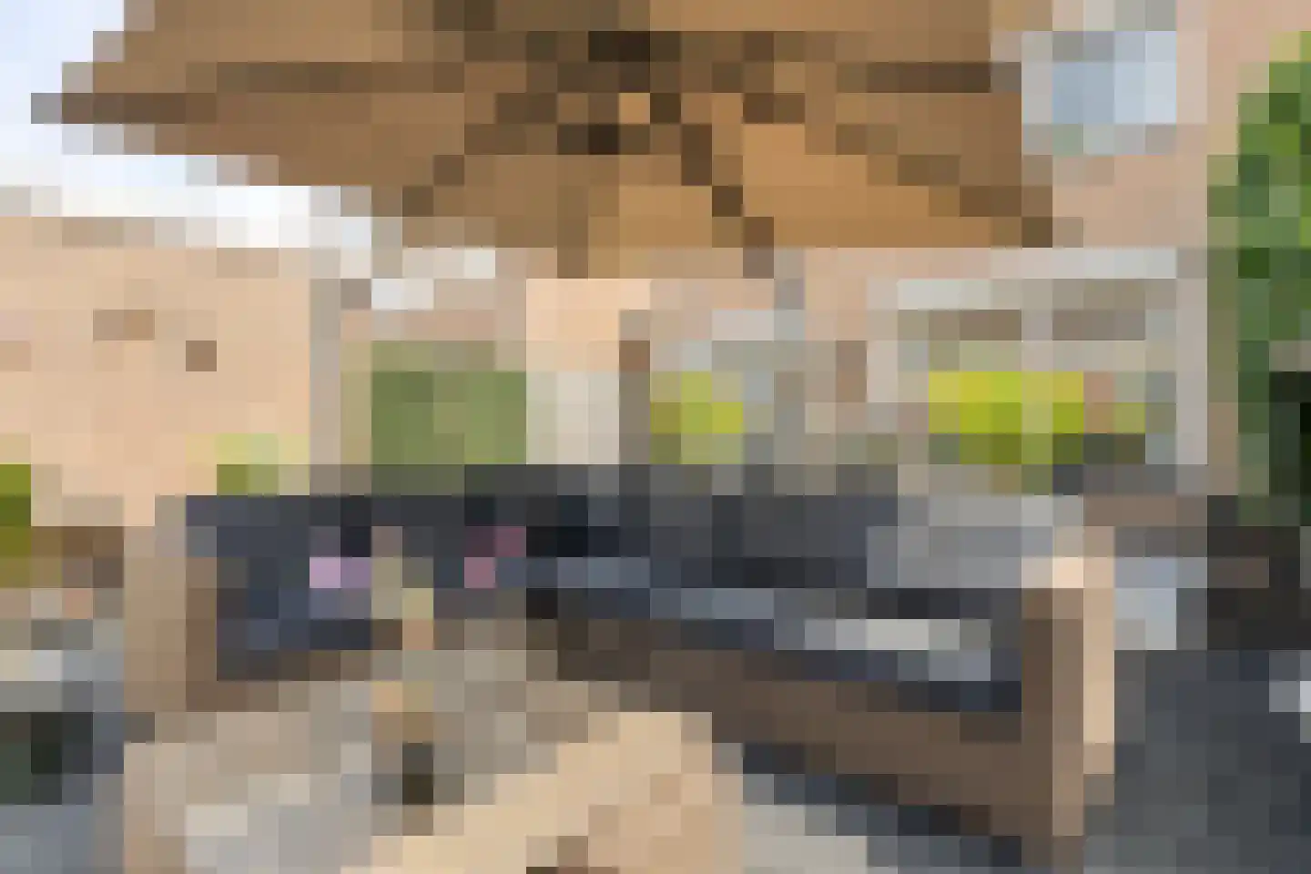 Arnelaan 45 Terneuzen thumbnail 31