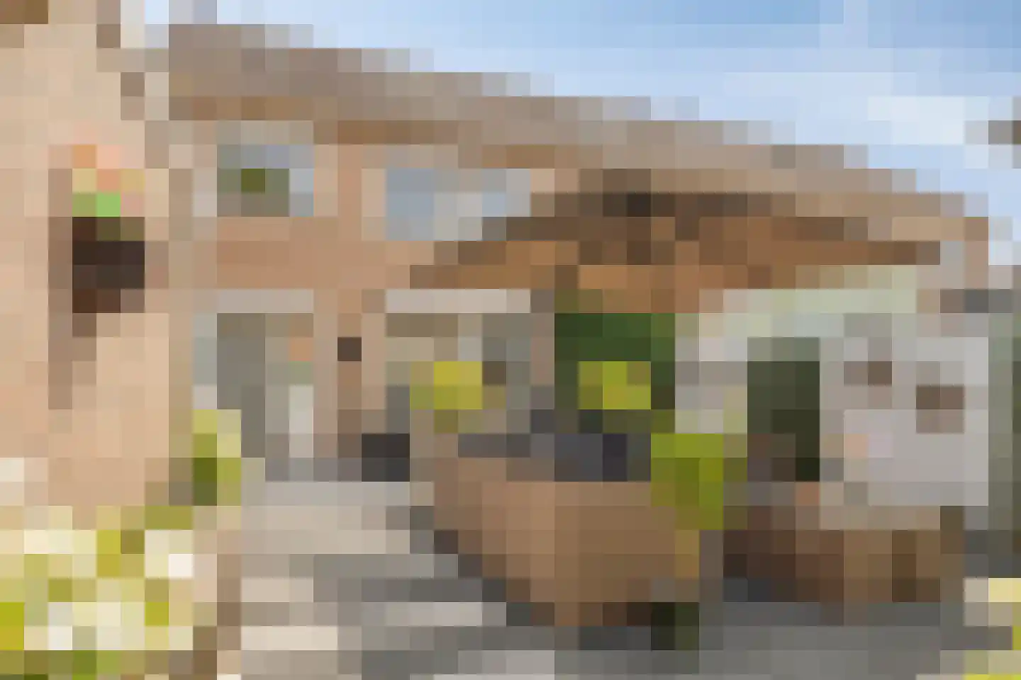 Arnelaan 45 Terneuzen thumbnail 32