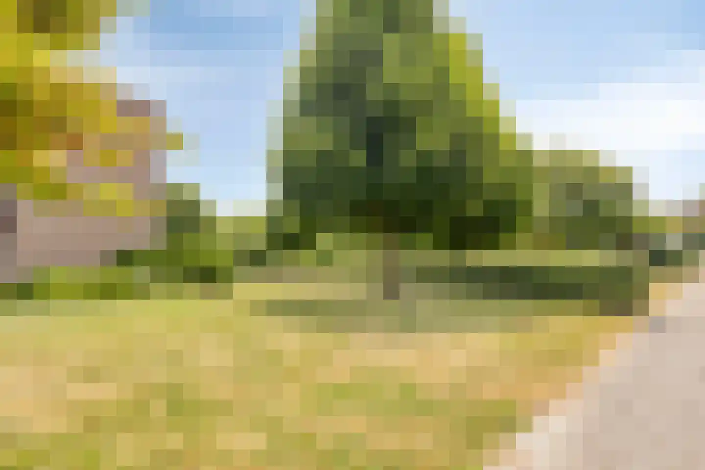 Arnelaan 45 Terneuzen thumbnail 34