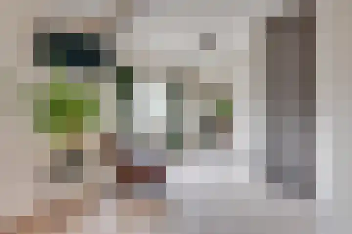 Arnelaan 81 Middelburg thumbnail 17