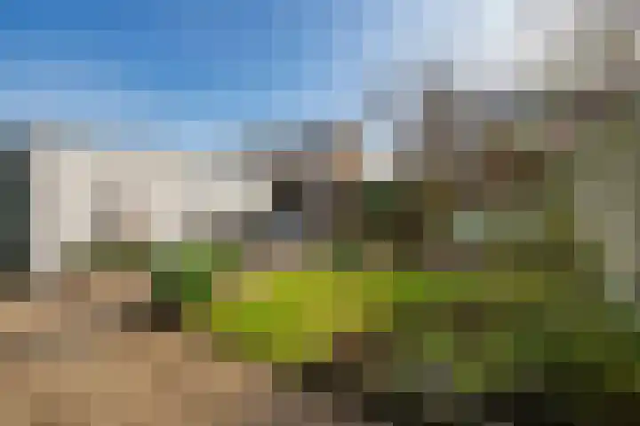 Arnelaan 81 Middelburg thumbnail 24