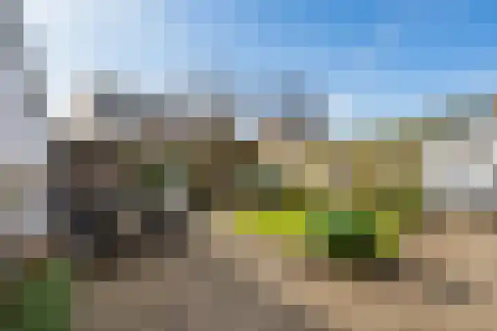 Arnelaan 81 Middelburg thumbnail 25