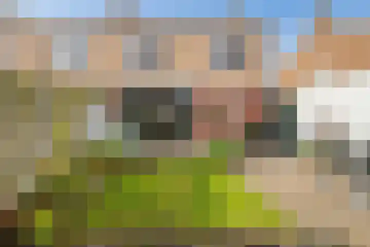 Arnelaan 81 Middelburg thumbnail 26
