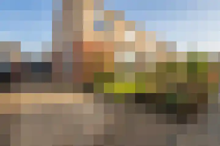 Arnelaan 81 Middelburg thumbnail 28
