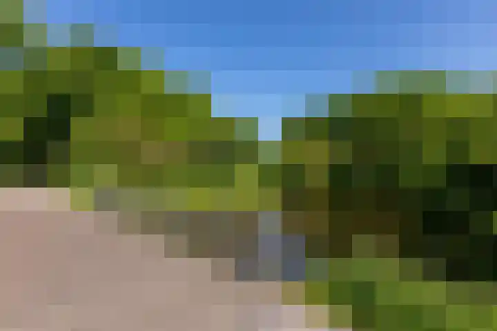 Arnelaan 81 Middelburg thumbnail 30