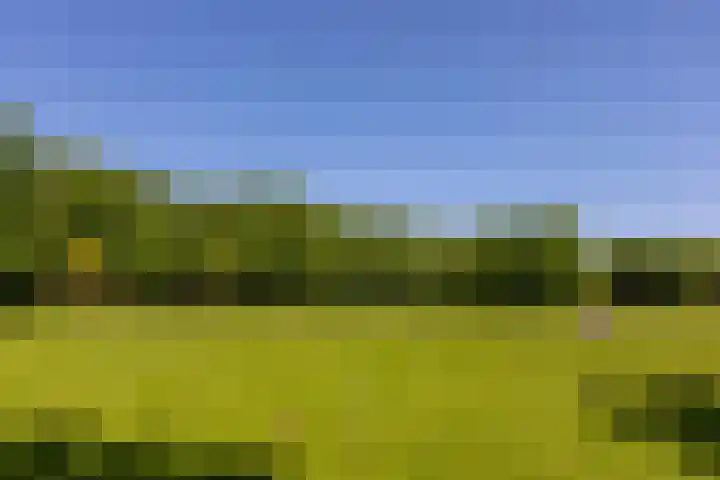 Arnelaan 81 Middelburg thumbnail 31