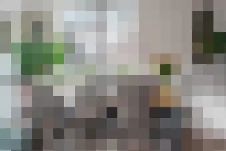 Arnemuidenhoek 40 Arnhem thumbnail 11
